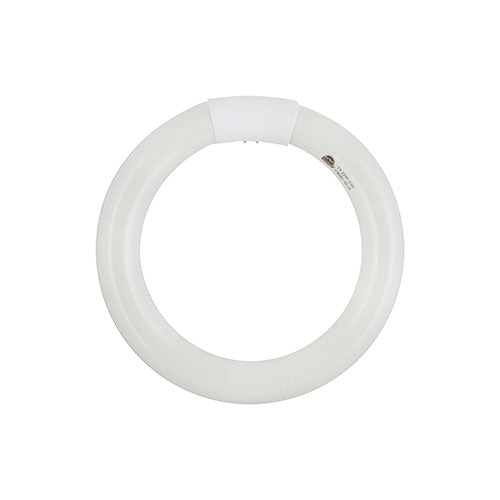 Fluorescent Circline T9 G10q 22w Cool White