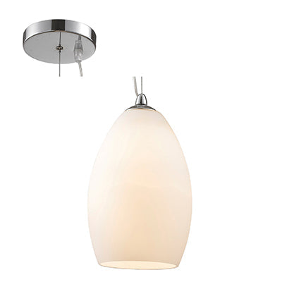 Dome Shaped 60W Glass Pendant - Chrome